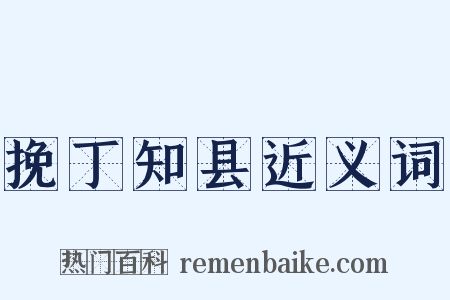 挽丁知县近义词是什么意思的图片